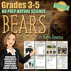 FREE BEARS Nature Study Course for Kids